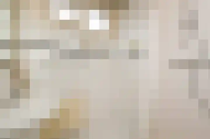 Tollenskade 36 Voorburg thumbnail 38