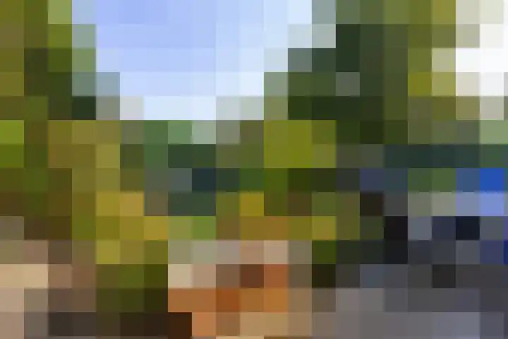 Tollenslaan 11 Amersfoort thumbnail 19