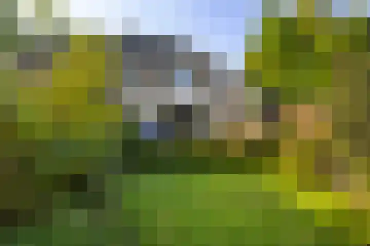 Tollenslaan 11 Amersfoort thumbnail 20