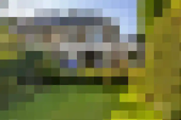 Tollenslaan 11 Amersfoort thumbnail 21