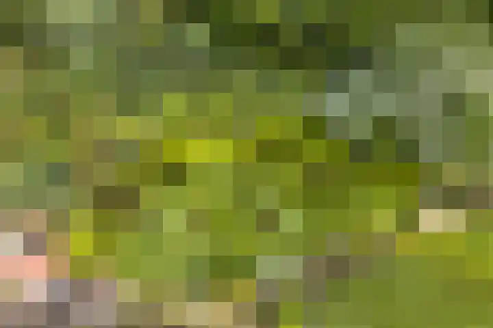 Tollenslaan 11 Amersfoort thumbnail 22