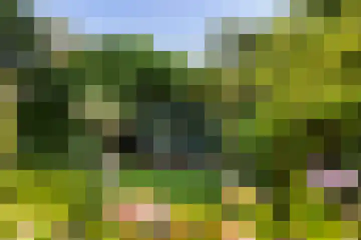 Tollenslaan 11 Amersfoort thumbnail 23