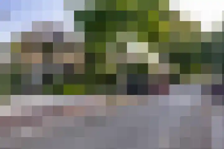Tollenslaan 11 Amersfoort thumbnail 36