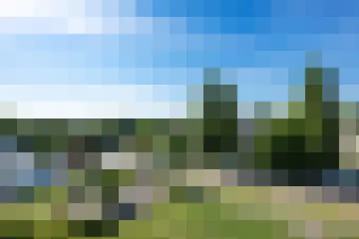 Tollenslaan 147 Waddinxveen thumbnail 10