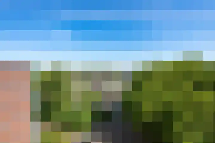 Tollenslaan 147 Waddinxveen thumbnail 16