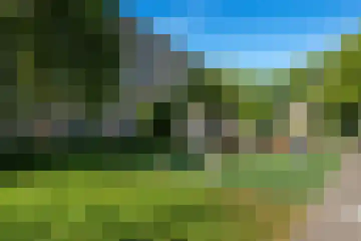 Tollenslaan 147 Waddinxveen thumbnail 17