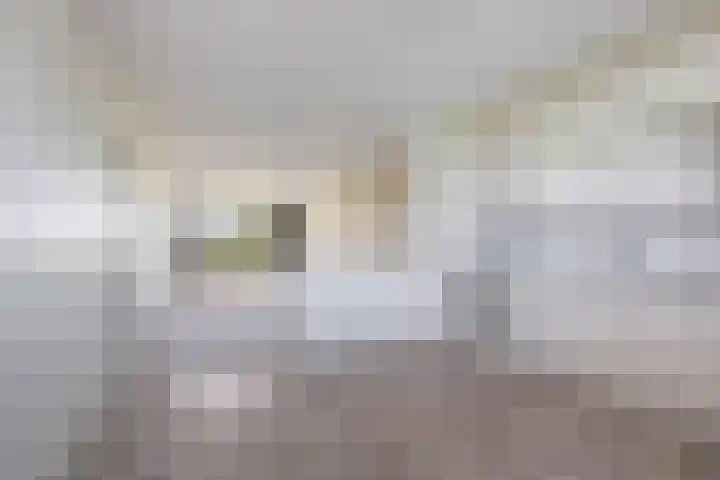 Tollenslaan 147 Waddinxveen thumbnail 4