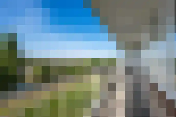 Tollenslaan 147 Waddinxveen thumbnail 8