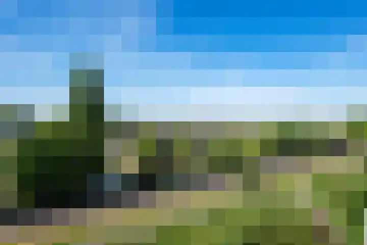 Tollenslaan 147 Waddinxveen thumbnail 9