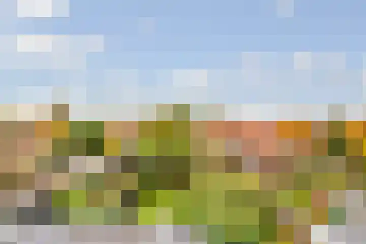 Tollenslaan 25 Zeist thumbnail 44