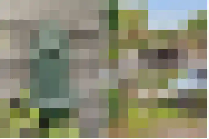 Tollenslaan 25 Zeist thumbnail 47