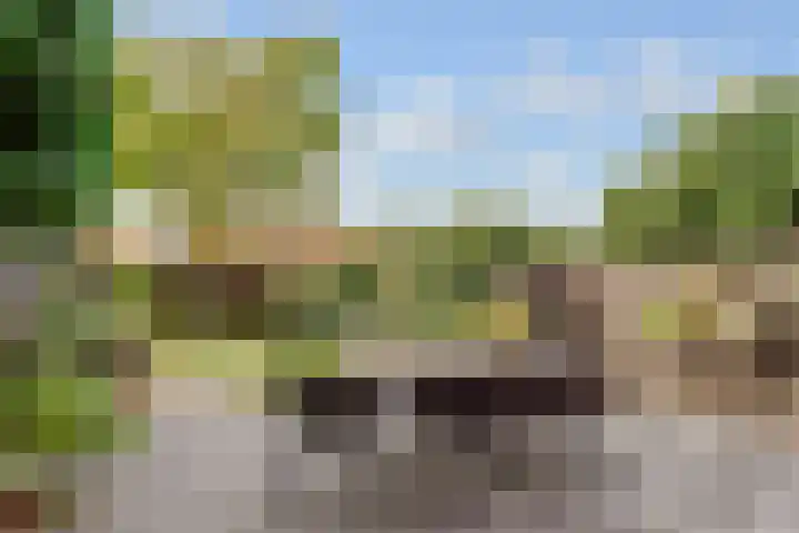 Tollenslaan 25 Zeist thumbnail 49