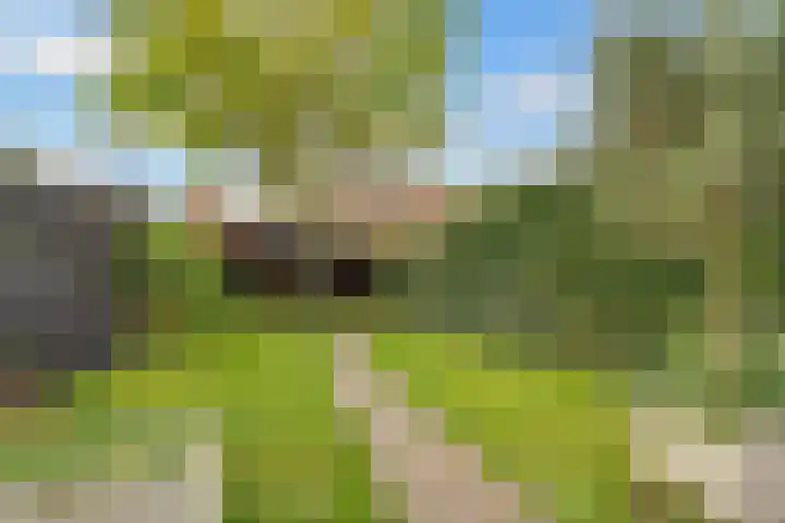 Tollenslaan 25 Zeist thumbnail 50