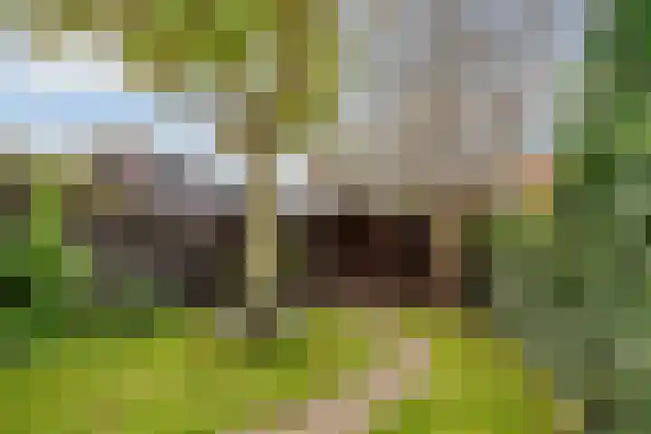 Tollenslaan 25 Zeist thumbnail 51