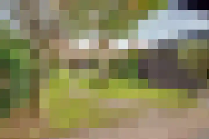Tollenslaan 25 Zeist thumbnail 54