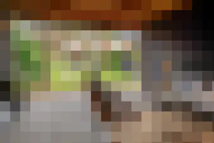 Tollenslaan 25 Zeist thumbnail 55