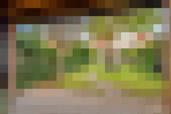 Tollenslaan 25 Zeist thumbnail 56