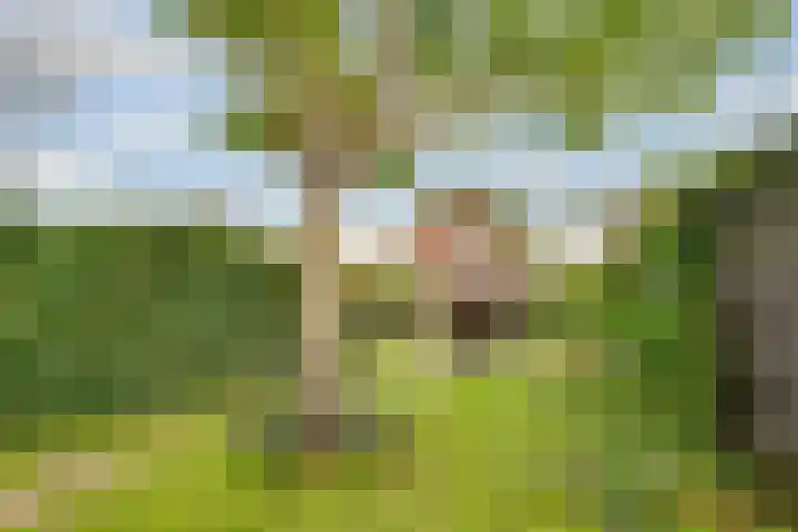 Tollenslaan 25 Zeist thumbnail 57
