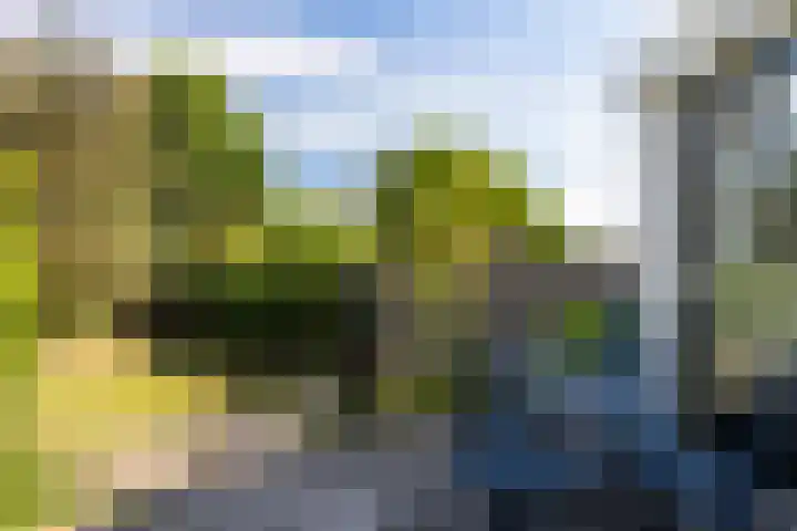 Tollenslaan 3 Amersfoort thumbnail 26