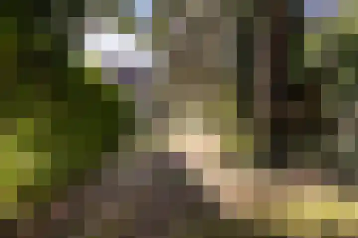 Tollenslaan 3 Amersfoort thumbnail 28