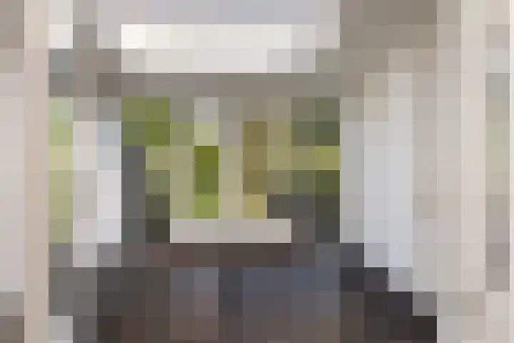 Tollenslaan 3 Amersfoort thumbnail 5