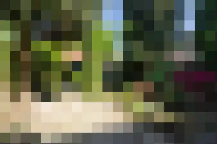 Tollenslaan 34 Zeist thumbnail 13