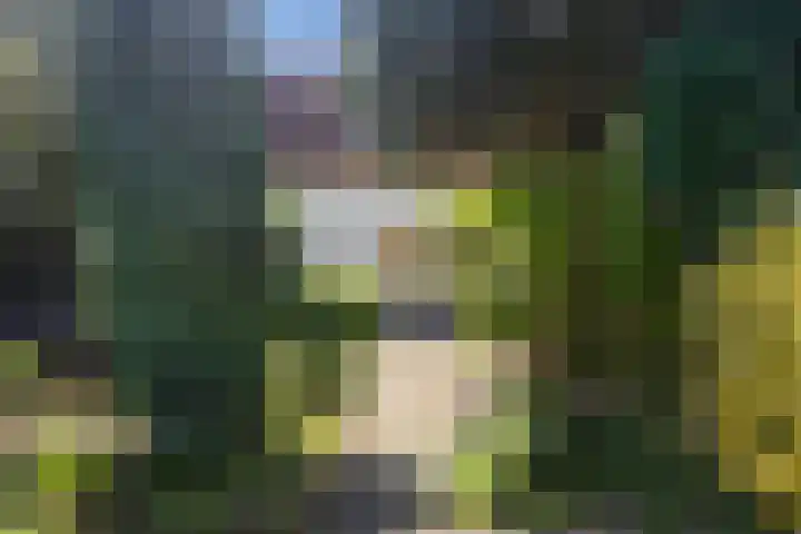 Tollenslaan 34 Zeist thumbnail 15