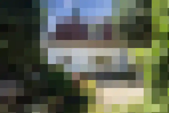 Tollenslaan 34 Zeist thumbnail 16
