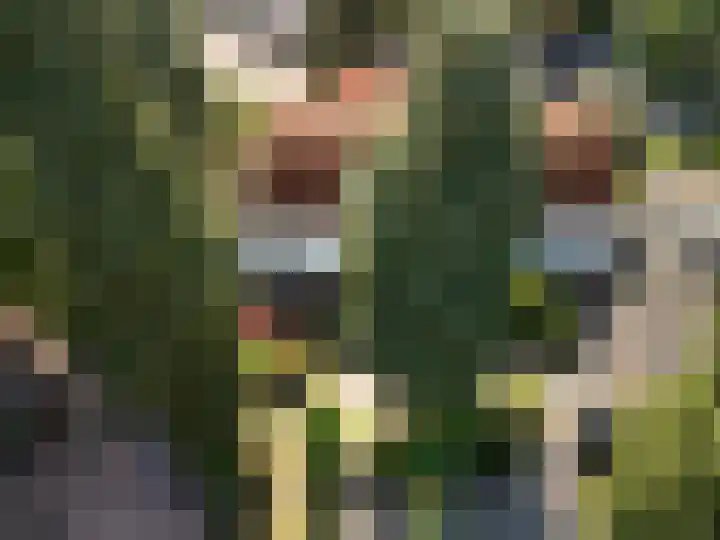 Tollenslaan 34 Zeist thumbnail 18