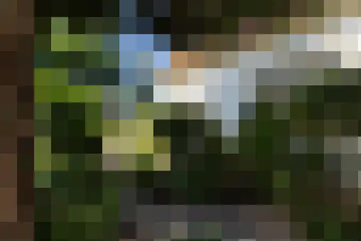Tollenslaan 34 Zeist thumbnail 29