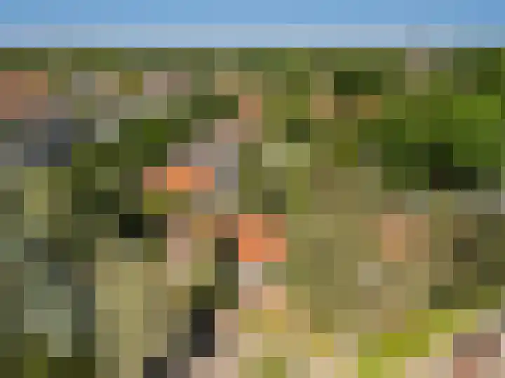 Tollenslaan 34 Zeist thumbnail 30