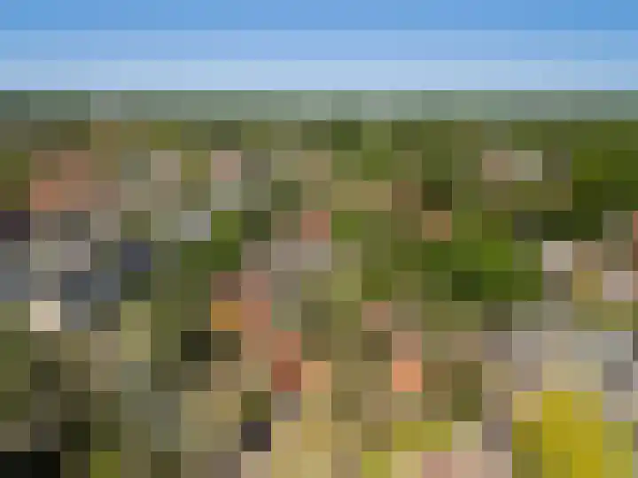 Tollenslaan 34 Zeist thumbnail 32