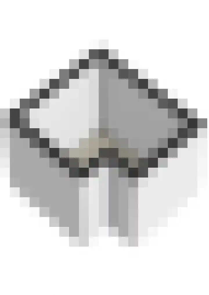 Tollenslaan 34 Zeist thumbnail 41