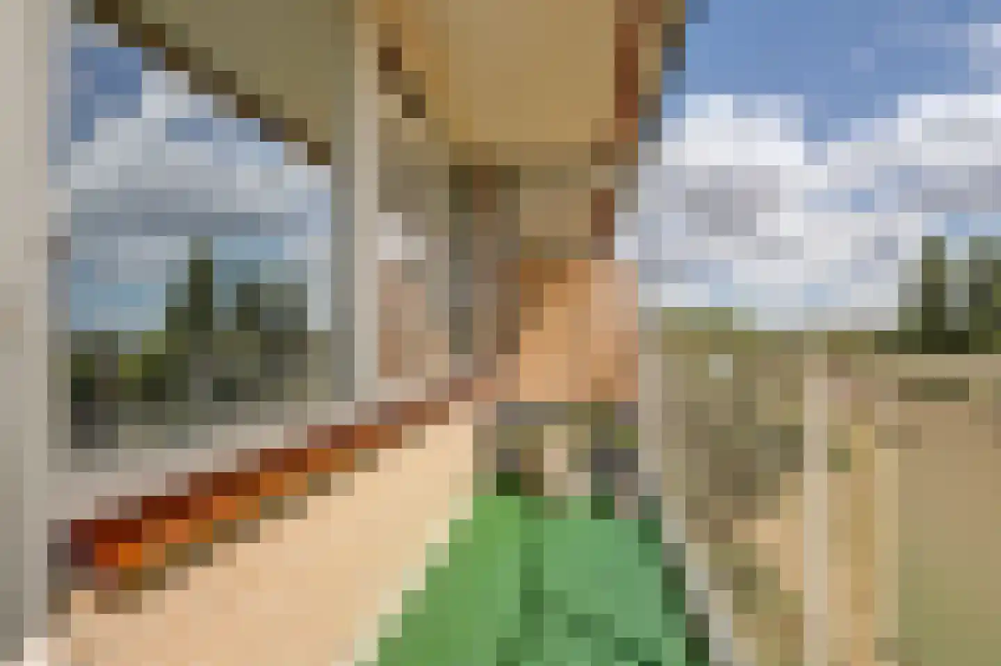 Tollenslaan 51 Waddinxveen thumbnail 22
