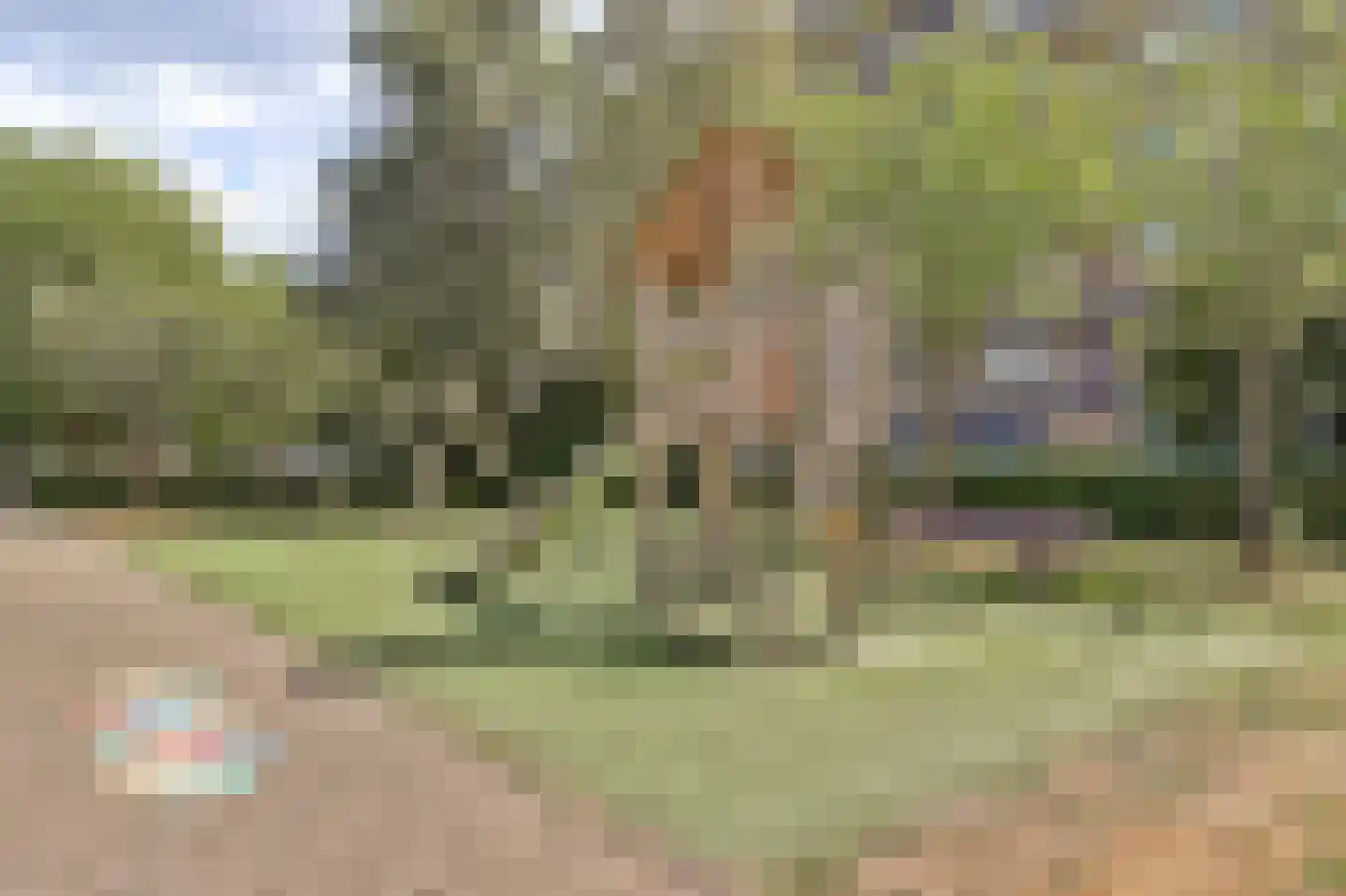 Tollenslaan 51 Waddinxveen thumbnail 26