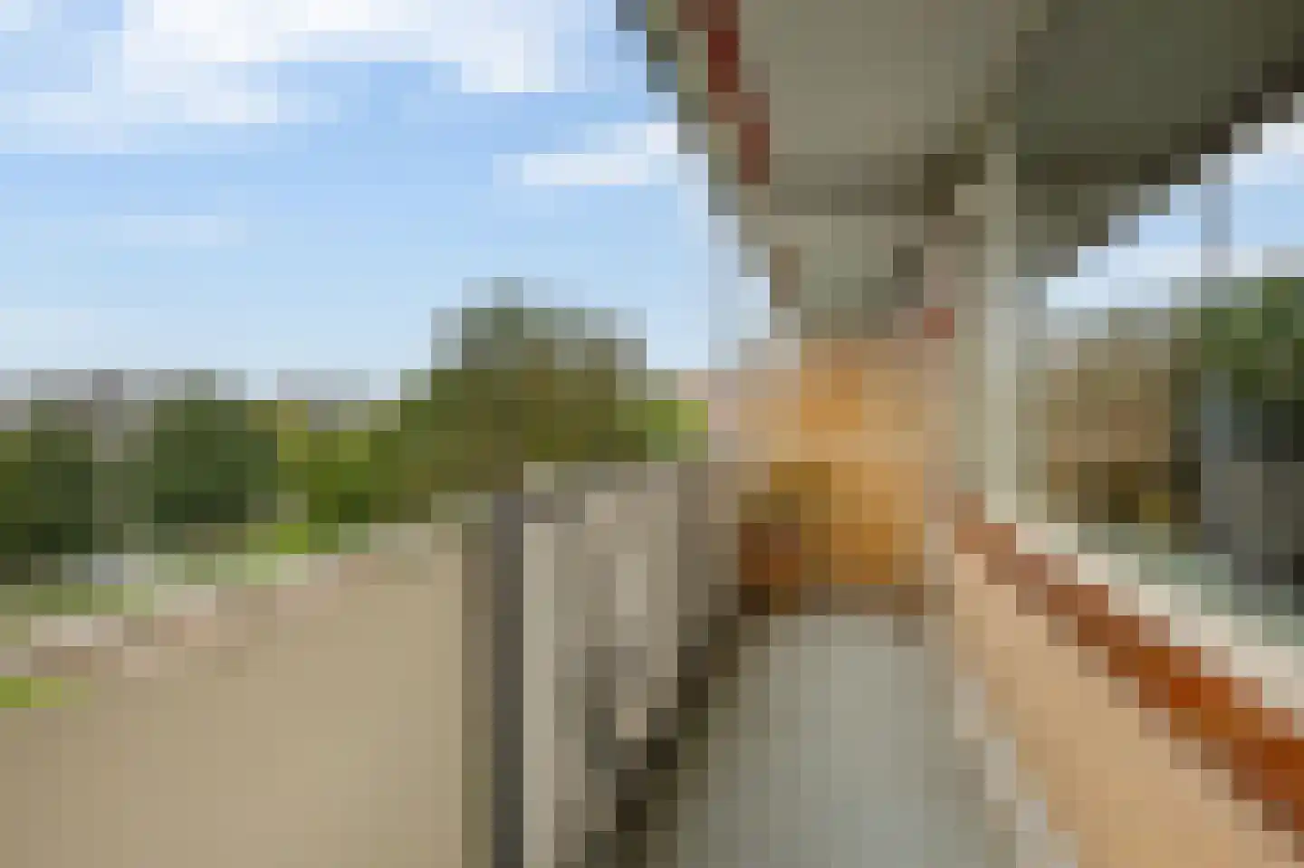 Tollenslaan 53 Waddinxveen thumbnail 5