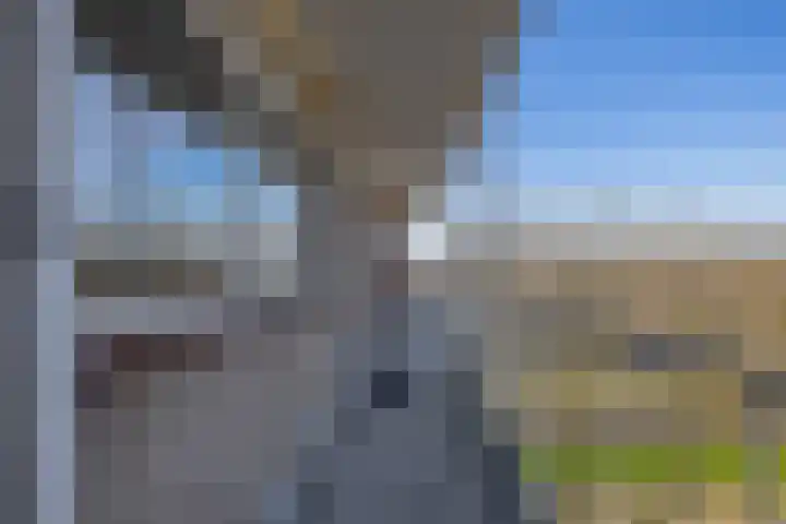 Tollenslaan 65 Waddinxveen thumbnail 7