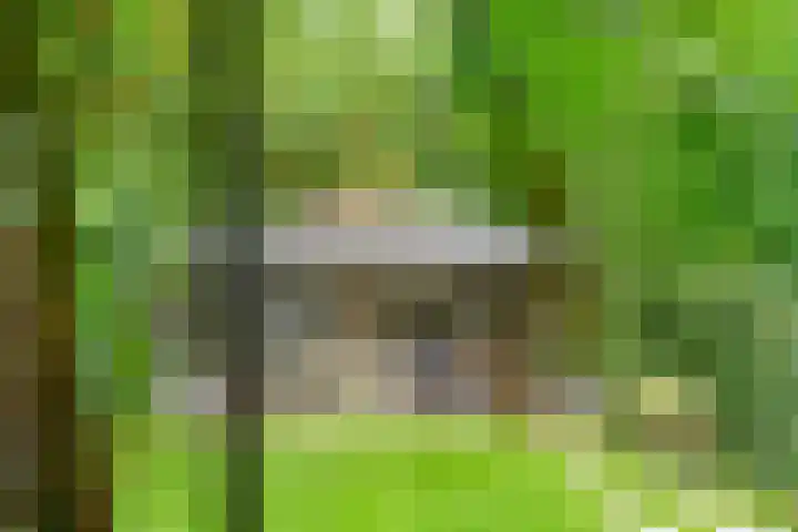 Tollenslaan 7 Amersfoort thumbnail 31