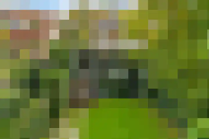 Tollenslaan 7 Amersfoort thumbnail 34