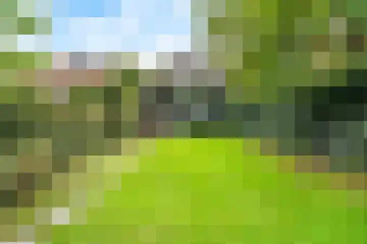 Tollenslaan 7 Amersfoort thumbnail 35