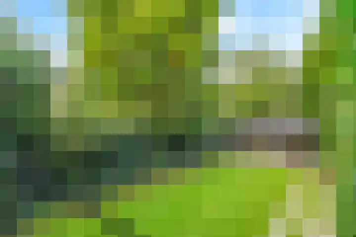 Tollenslaan 7 Amersfoort thumbnail 4