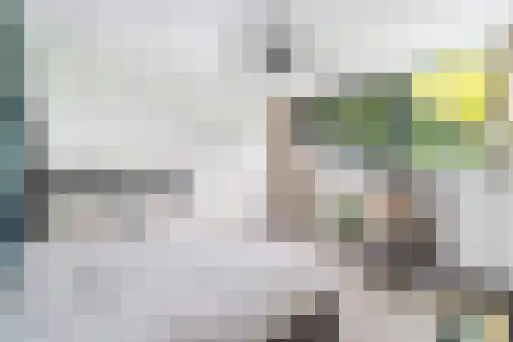 Tollenslaan 7 Amersfoort thumbnail 66