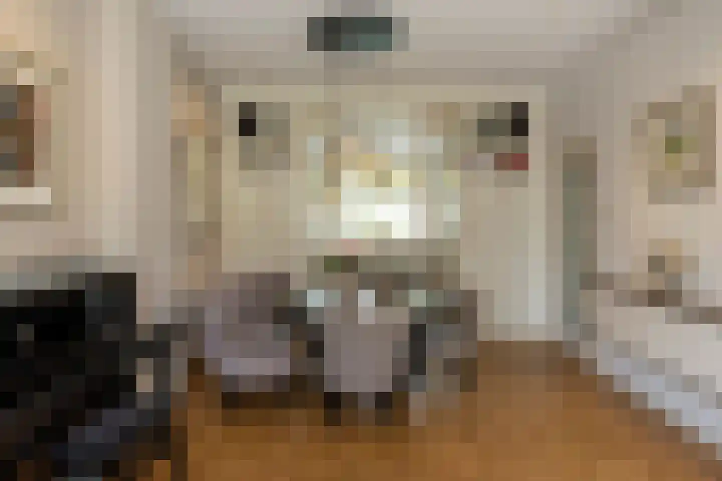 Tollenslaan 7 Eindhoven thumbnail 11