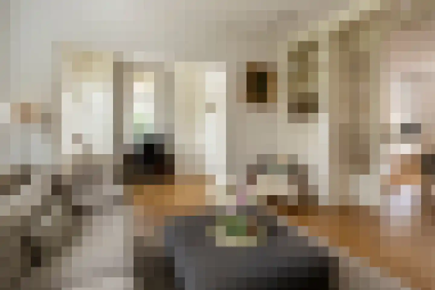 Tollenslaan 7 Eindhoven thumbnail 13