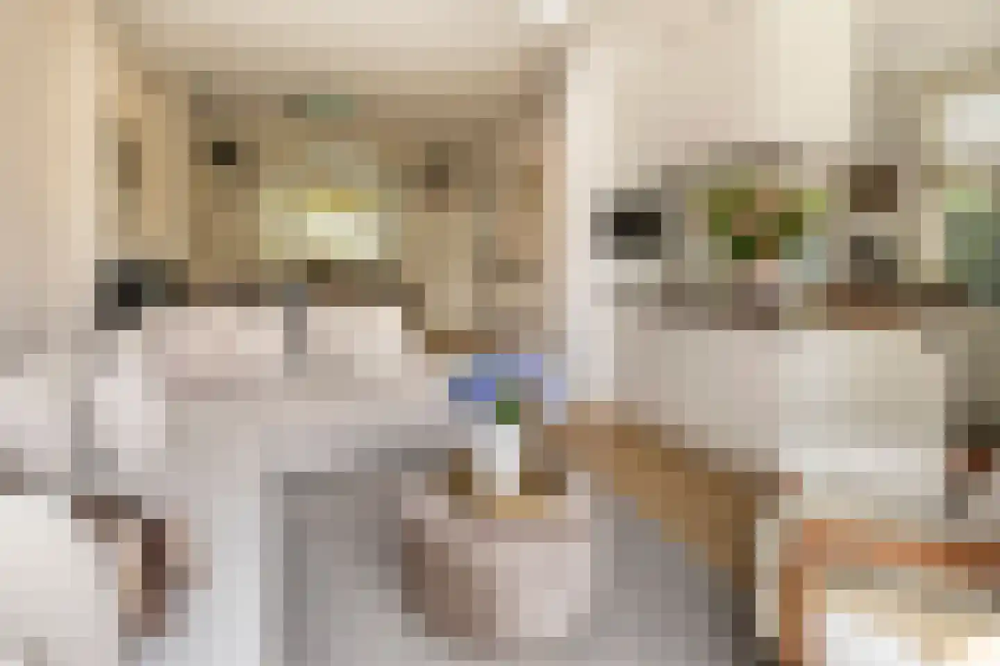Tollenslaan 7 Eindhoven thumbnail 18