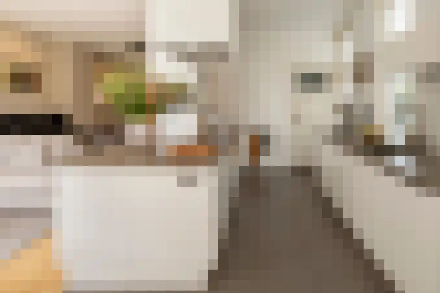 Tollenslaan 7 Eindhoven thumbnail 21