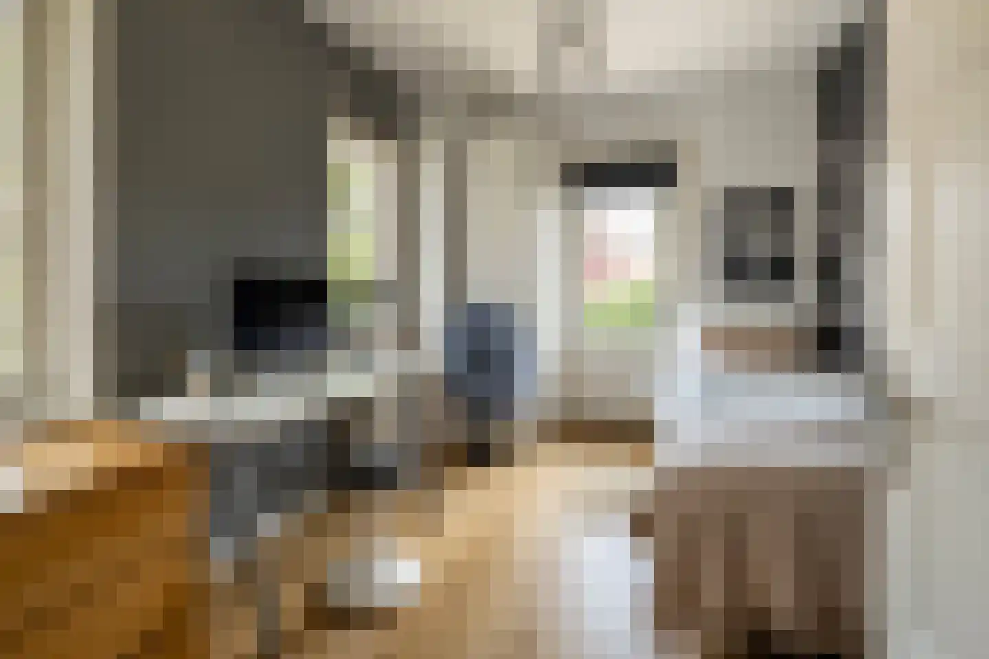 Tollenslaan 7 Eindhoven thumbnail 23