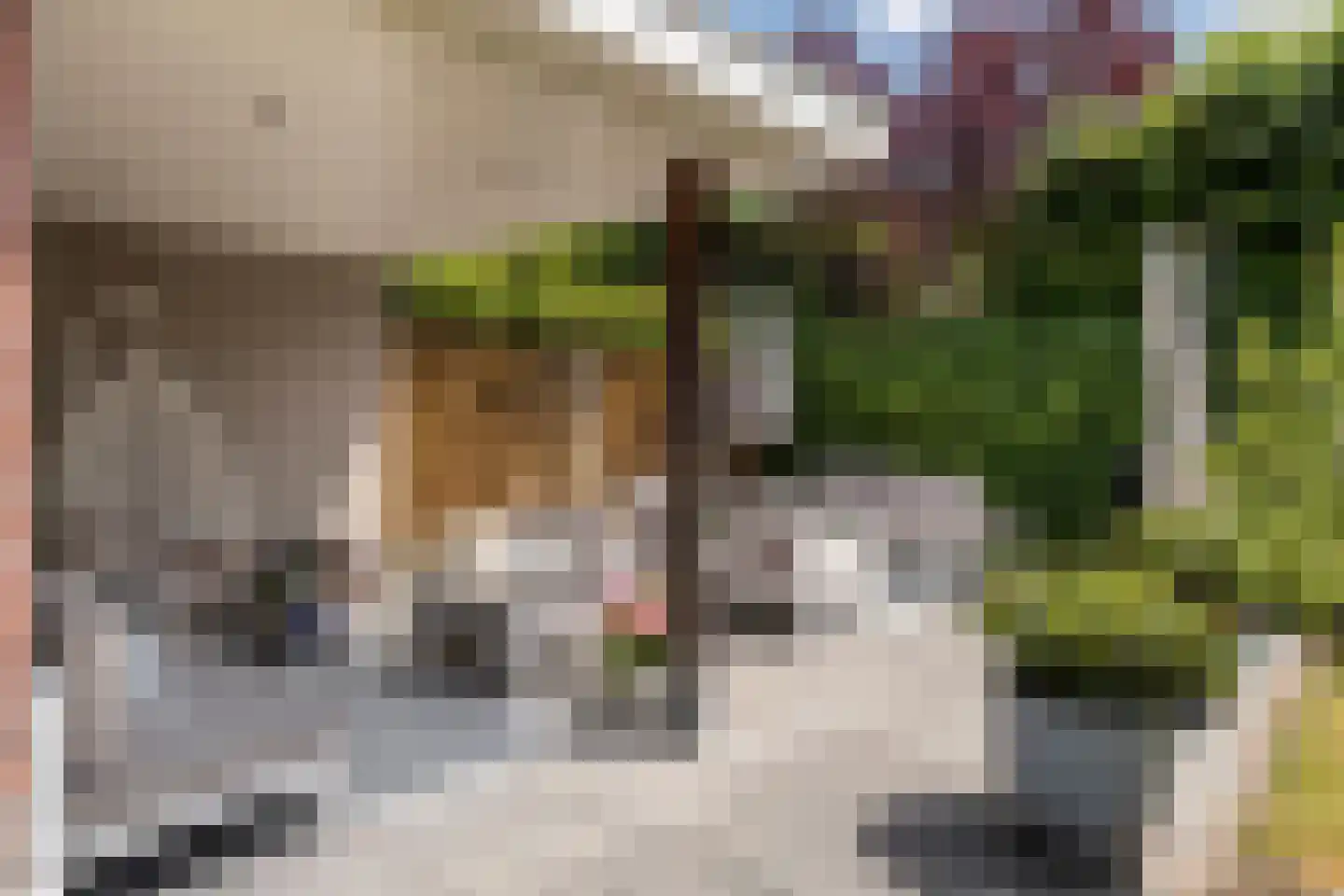 Tollenslaan 7 Eindhoven thumbnail 34