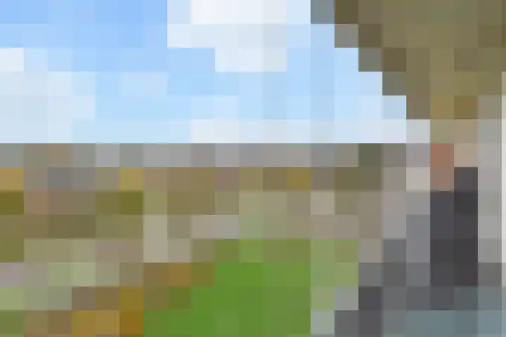 Tollenslaan 73 Waddinxveen thumbnail 31