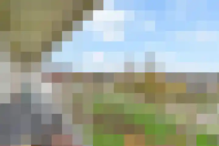 Tollenslaan 73 Waddinxveen thumbnail 32